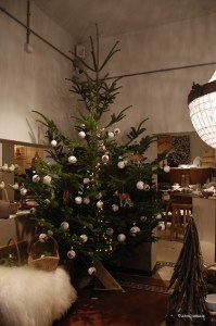 20151111italy-bologna_0668