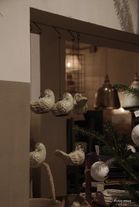 20151111italy-bologna_0684