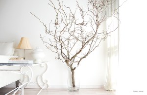 20151230plumtree-2_1885