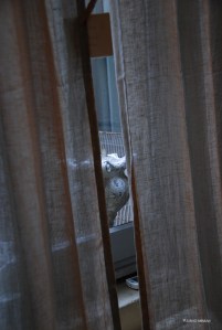 20151111italy-bologna_0692