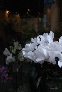 20151113italy-milano_0777