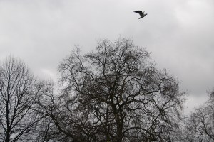 20160305london_2611