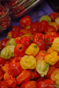 20160314firenze_3117_2