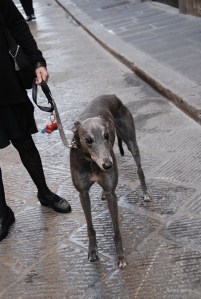 20151108italy-firenze_0101