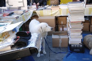 20151108italy-firenze_0115