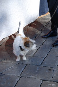 20151108italy-firenze_0120