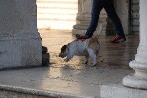 20160310venezia_2857