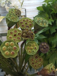 20160817flowershop_2