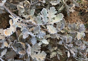 20161223provence-paris_0914