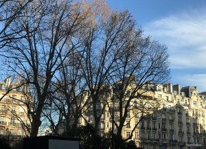 20161228provence-paris_1352